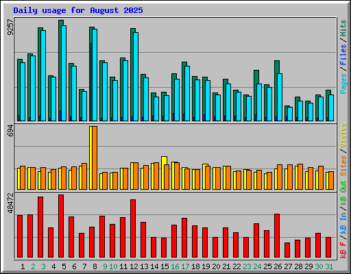 Daily usage for August 2025