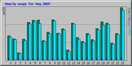 Hourly usage for May 2025