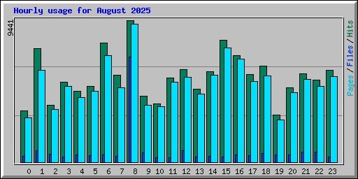 Hourly usage for August 2025